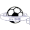 Logo SHE VR1