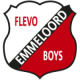 Logo Flevo Boys MO11-1