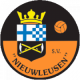 Logo Nieuwleusen SV JO15-2