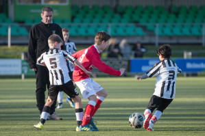 v.v. Hierden JO13-1 - Wintercup 2019 foto 9/19
