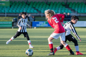 v.v. Hierden JO13-1 - Wintercup 2019 foto 10/19