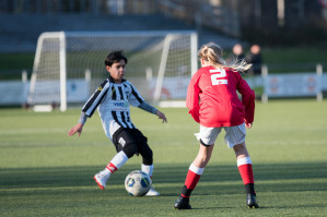 v.v. Hierden JO13-1 - Wintercup 2019 foto 11/19