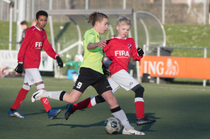 v.v. Hierden JO13-1 - Wintercup 2019 foto 14/19