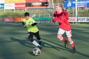 v.v. Hierden JO13-1 - Wintercup 2019 foto 18/19