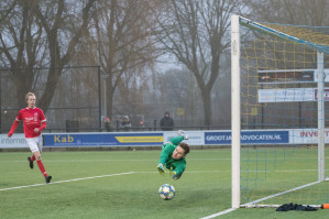 Foto's DZC '68 1 - v.v. Hierden 1 - 25 januari 2020 foto 25/26