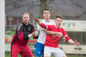 Foto's sv DFS 1 - v.v. Hierden 1 - 8 februari 2020 foto 3/21
